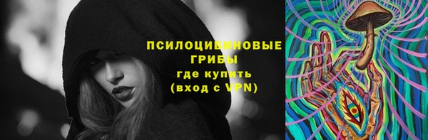 spice Бугульма