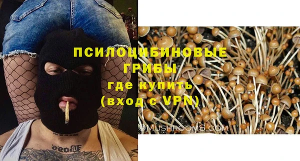 MDMA Бородино